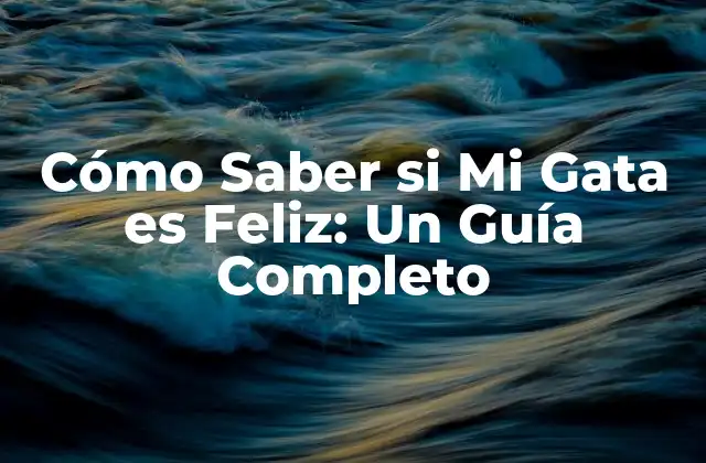 Cómo Saber Si Mi Gata es Feliz: un Guía Completo 2 ¿Qué es la Felicidad para los Gatos?