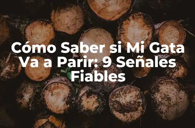 Cómo Saber Si Mi Gata Va a Parir: 9 Señales Fiables