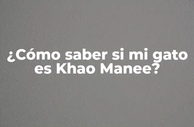 ¿cómo Saber Si Mi Gato es Khao Manee?