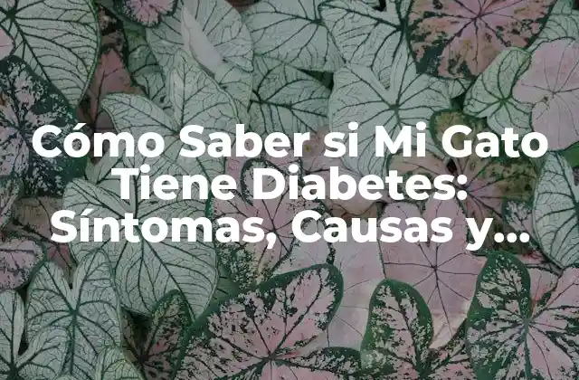 Cómo Saber Si Mi Gato Tiene Diabetes: Síntomas, Causas y Tratamiento
