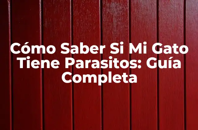 Cómo Saber Si Mi Gato Tiene Parasitos: Guía Completa