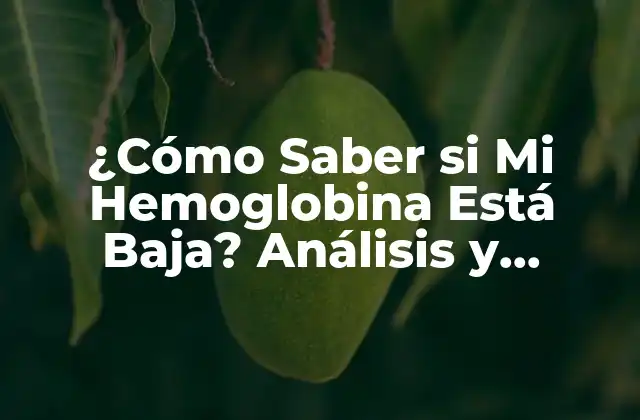 ¿cómo Saber Si Mi Hemoglobina Está Baja? Análisis y Síntomas