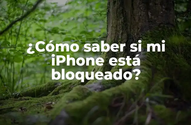 ¿cómo Saber Si Mi Iphone Está Bloqueado?