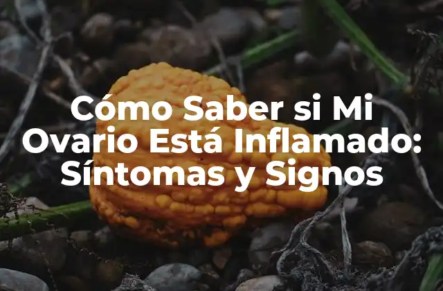 Cómo Saber Si Mi Ovario Está Inflamado: Síntomas y Signos
