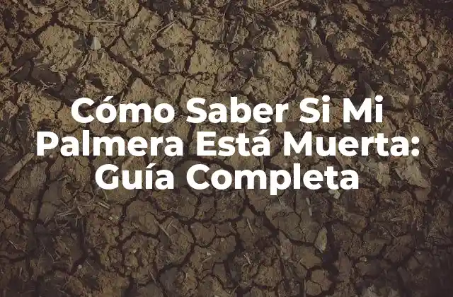 Cómo Saber Si Mi Palmera Está Muerta: Guía Completa