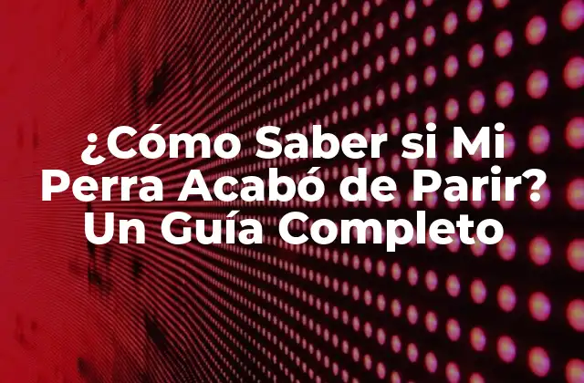 ¿cómo Saber Si Mi Perra Acabó de Parir? un Guía Completo