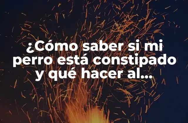 Síntomas de la constipación canina