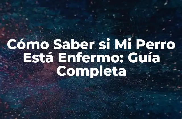 Cómo Saber Si Mi Perro Está Enfermo: Guía Completa