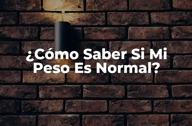 El Índice de Masa Corporal (IMC)