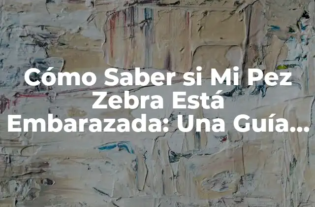 Cómo Saber Si Mi Pez Zebra Está Embarazada: una Guía Completa