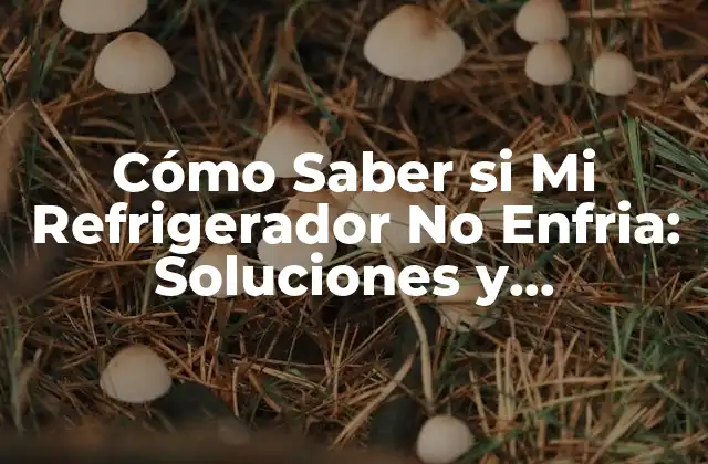 Cómo Saber Si Mi Refrigerador No Enfria: Soluciones y Conocimientos