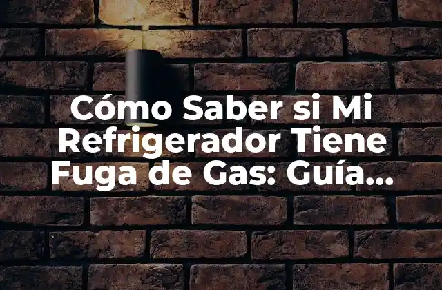 Cómo Saber Si Mi Refrigerador Tiene Fuga de Gas: Guía Detallada