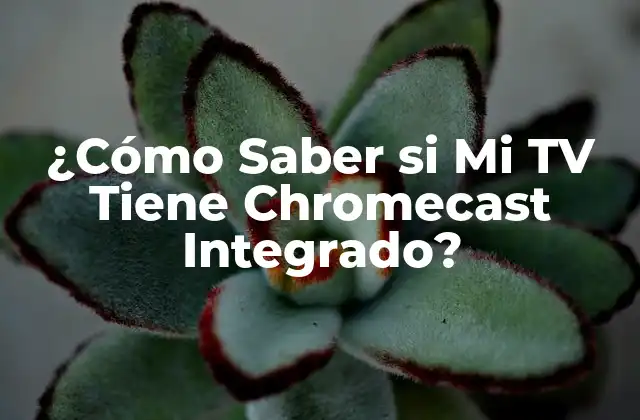 ¿cómo Saber Si Mi Tv Tiene Chromecast Integrado?