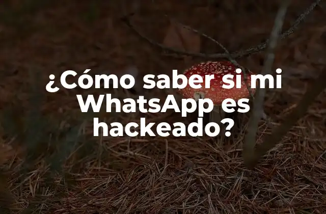 ¿cómo Saber Si Mi Whatsapp es Hackeado?