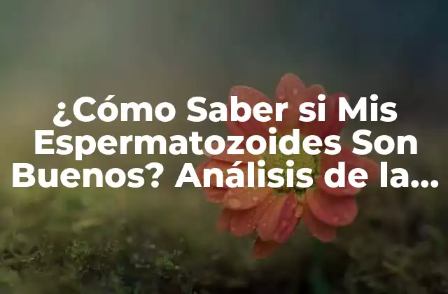 ¿cómo Saber Si Mis Espermatozoides Son Buenos? Análisis de la Calidad Del Semen