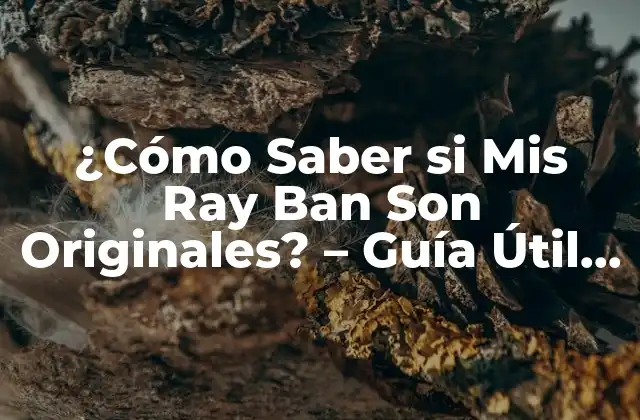 ¿cómo Saber Si Mis Ray Ban Son Originales? – Guía Útil para Identificar Modelos Auténticos