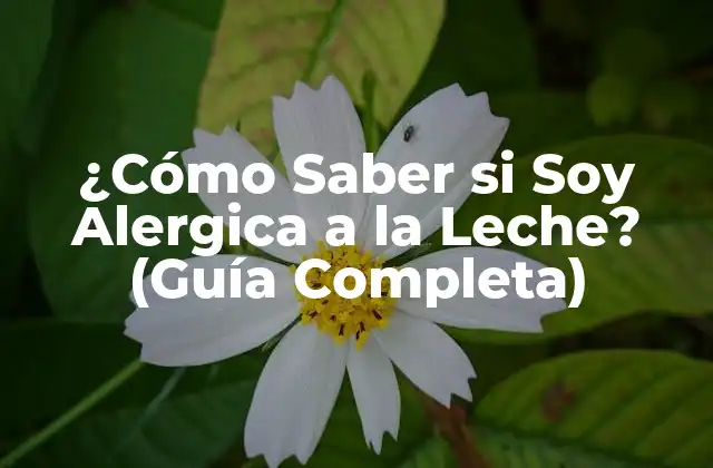 ¿cómo Saber Si Soy Alergica a la Leche? (guía Completa) 2 ¿Qué es la Alergia a la Leche?