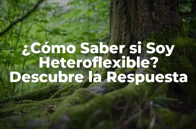 ¿cómo Saber Si Soy Heteroflexible? Descubre la Respuesta