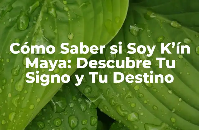 Cómo Saber Si Soy K’ín Maya: Descubre Tu Signo y Tu Destino