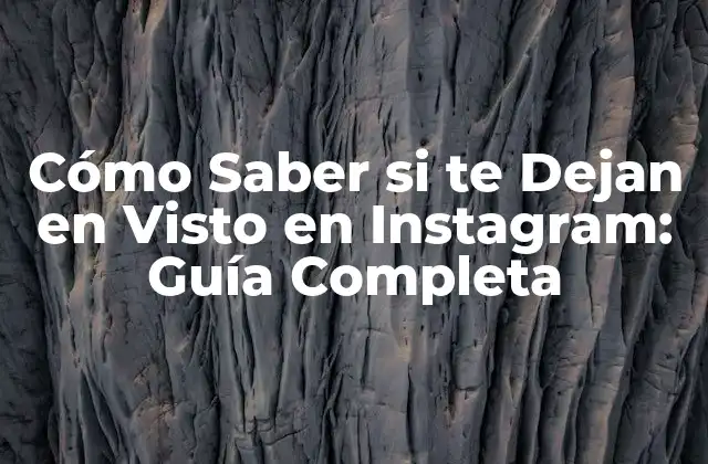 Cómo Saber Si Te Dejan en Visto en Instagram: Guía Completa