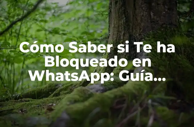 Cómo Saber Si Te Ha Bloqueado en Whatsapp: Guía Definitiva