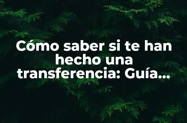 Cómo Saber Si Te Han Hecho una Transferencia: Guía Completa