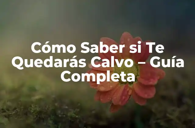 Cómo Saber Si Te Quedarás Calvo - Guía Completa 2 Causas de la Pérdida de Cabello