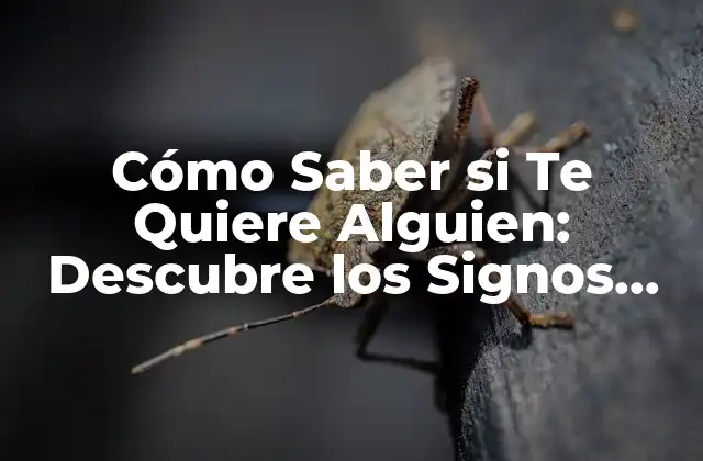 Cómo Saber Si Te Quiere Alguien: Descubre los Signos Ocultos
