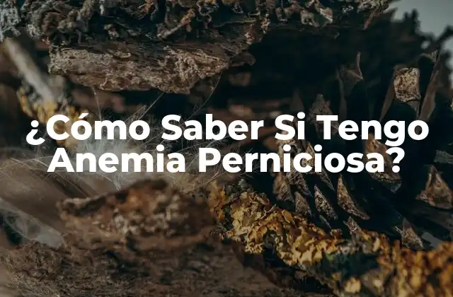 ¿cómo Saber Si Tengo Anemia Perniciosa?