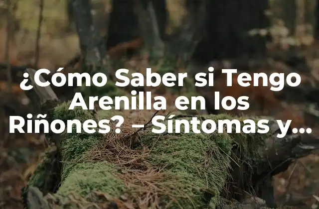 ¿cómo Saber Si Tengo Arenilla en los Riñones? – Síntomas y Diagnóstico
