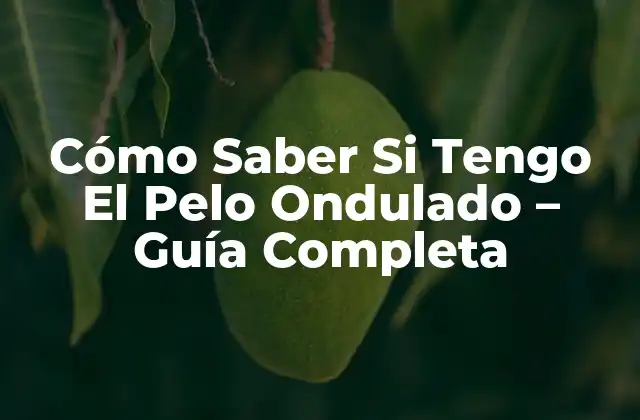 Cómo Saber Si Tengo el Pelo Ondulado – Guía Completa