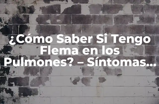 ¿cómo Saber Si Tengo Flema en los Pulmones? – Síntomas y Diagnóstico