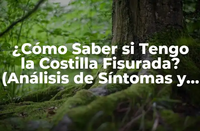 ¿cómo Saber Si Tengo la Costilla Fisurada? (análisis de Síntomas y Tratamiento)