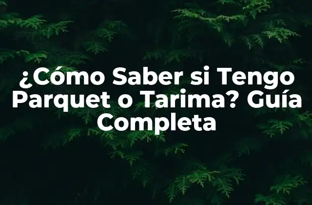 ¿cómo Saber Si Tengo Parquet o Tarima? Guía Completa