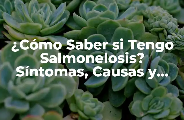 ¿cómo Saber Si Tengo Salmonelosis? Síntomas, Causas y Tratamiento