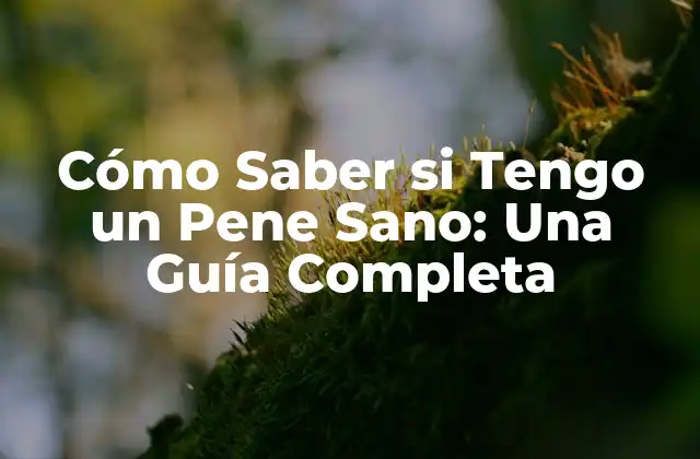 Cómo Saber Si Tengo un Pene Sano: una Guía Completa
