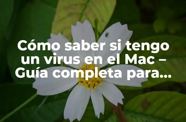 Cómo Saber Si Tengo un Virus en el Mac – Guía Completa para Detectar y Eliminar Malware