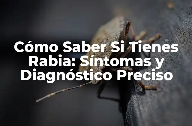 Cómo Saber Si Tienes Rabia: Síntomas y Diagnóstico Preciso