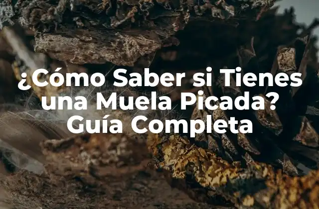 ¿cómo Saber Si Tienes una Muela Picada? Guía Completa