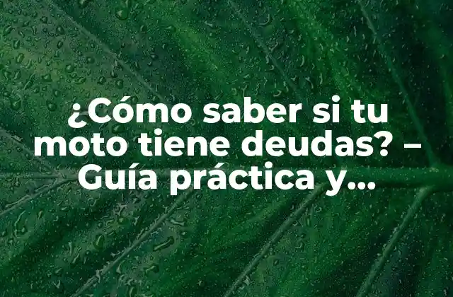 ¿cómo Saber Si Tu Moto Tiene Deudas? – Guía Práctica y Detallada
