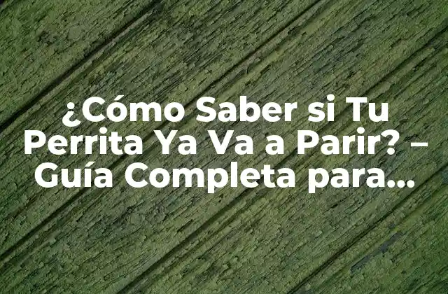 ¿cómo Saber Si Tu Perrita Ya Va a Parir? – Guía Completa para Propietarios de Perros