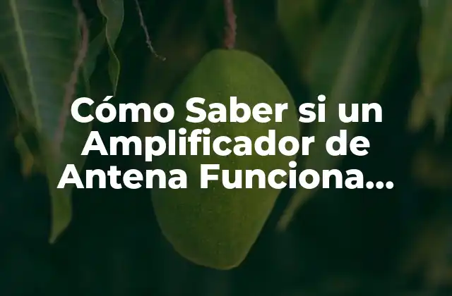 Cómo Saber Si un Amplificador de Antena Funciona Correctamente