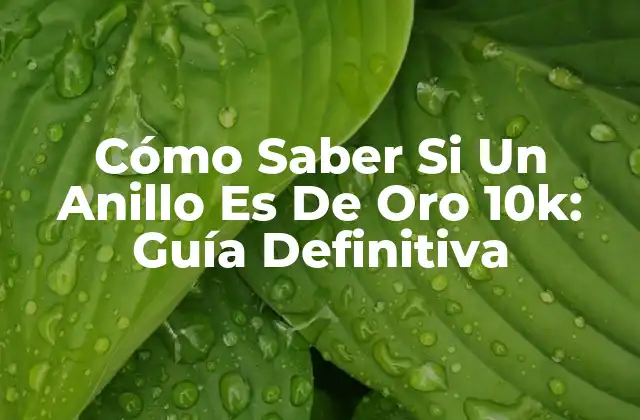 Cómo Saber Si un Anillo es de Oro 10k: Guía Definitiva