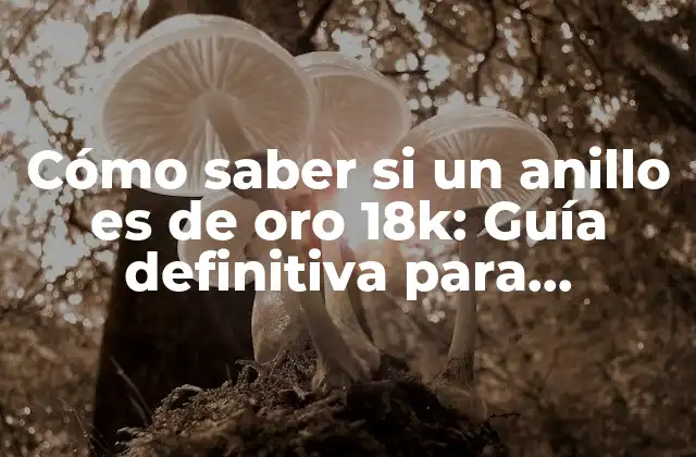 Cómo Saber Si un Anillo es de Oro 18k: Guía Definitiva para Identificar el Oro Auténtico