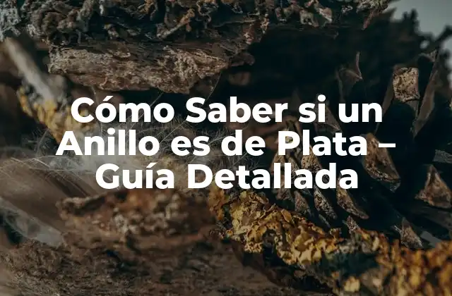 Cómo Saber Si un Anillo es de Plata – Guía Detallada
