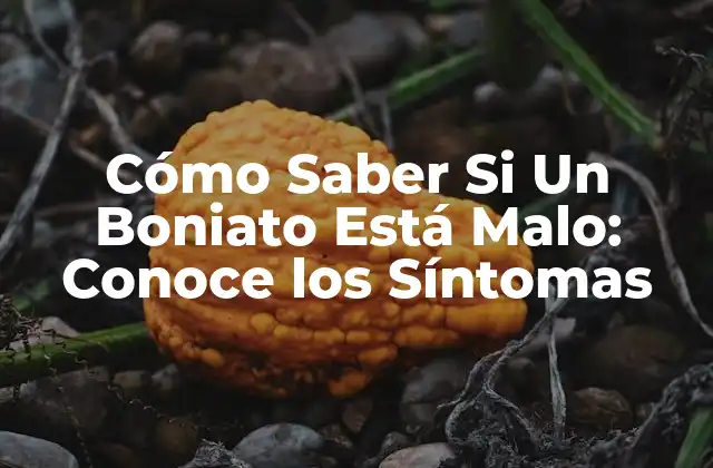 Cómo Saber Si un Boniato Está Malo: Conoce los Síntomas