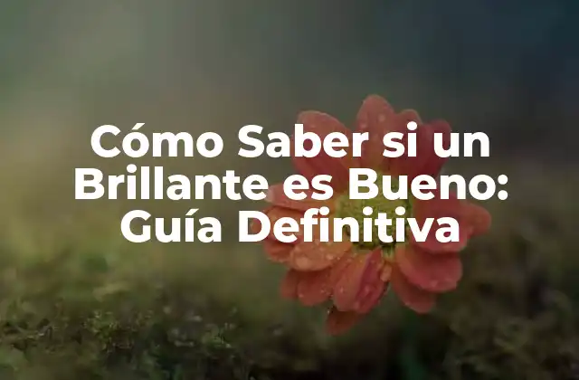 Cómo Saber Si un Brillante es Bueno: Guía Definitiva