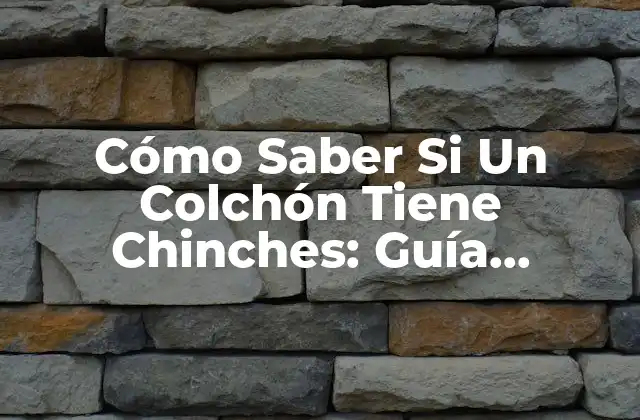 ¿Qué son las Chinches de los Colchones?