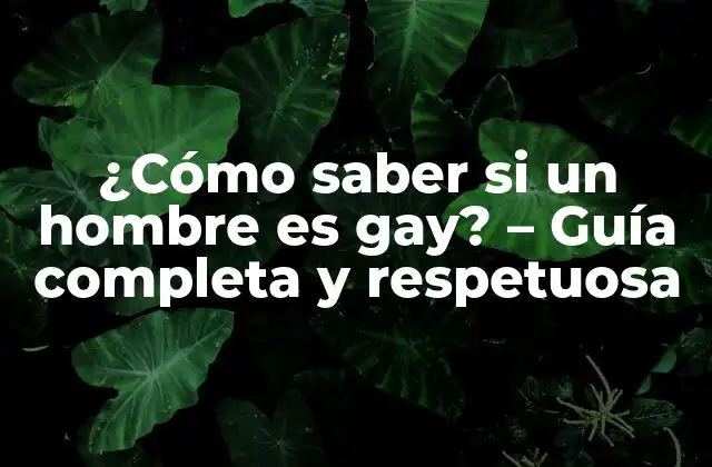 ¿cómo Saber Si un Hombre es Gay? – Guía Completa y Respetuosa
