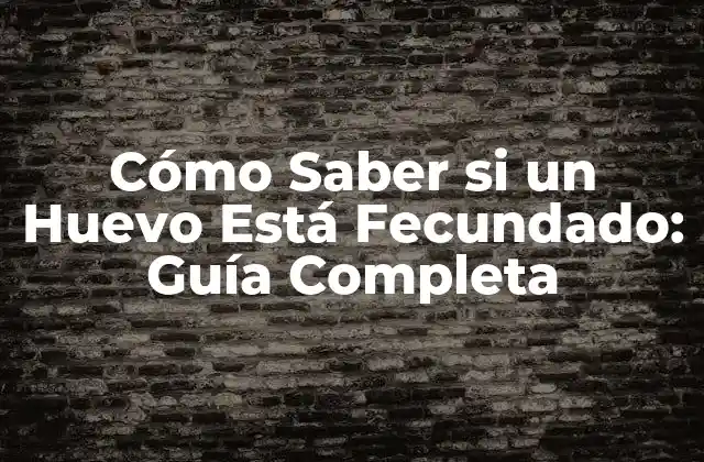 Cómo Saber Si un Huevo Está Fecundado: Guía Completa
